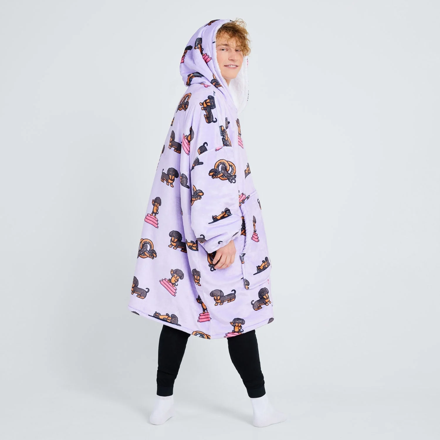 Dachshund - Image 9