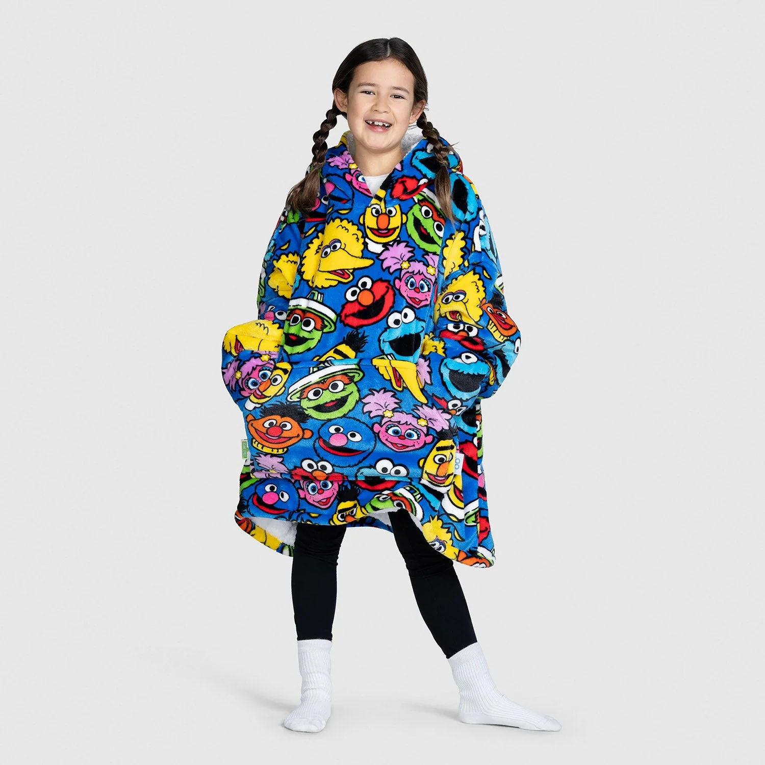Sesame Street Characters - Image 3