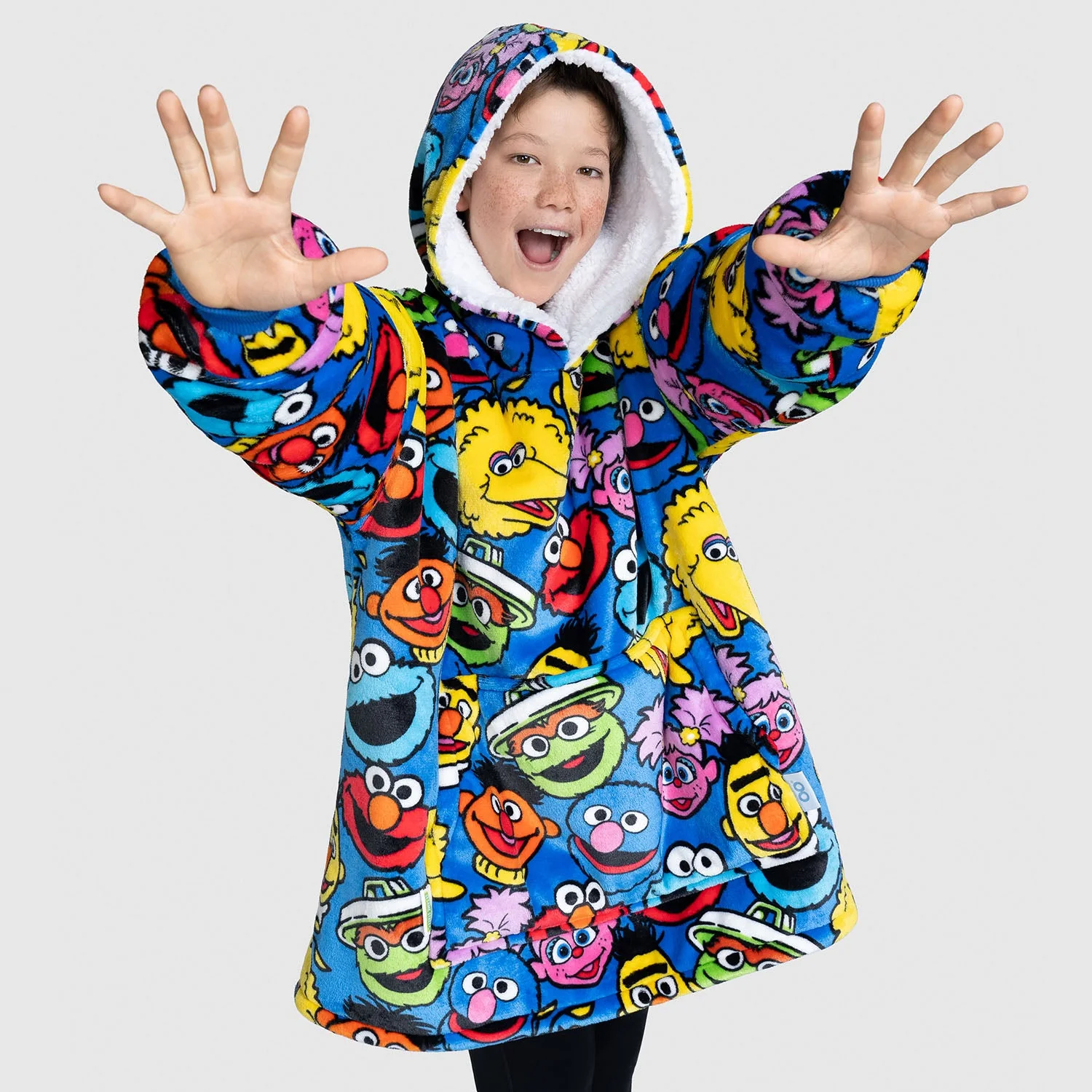 Sesame Street Characters - Image 4