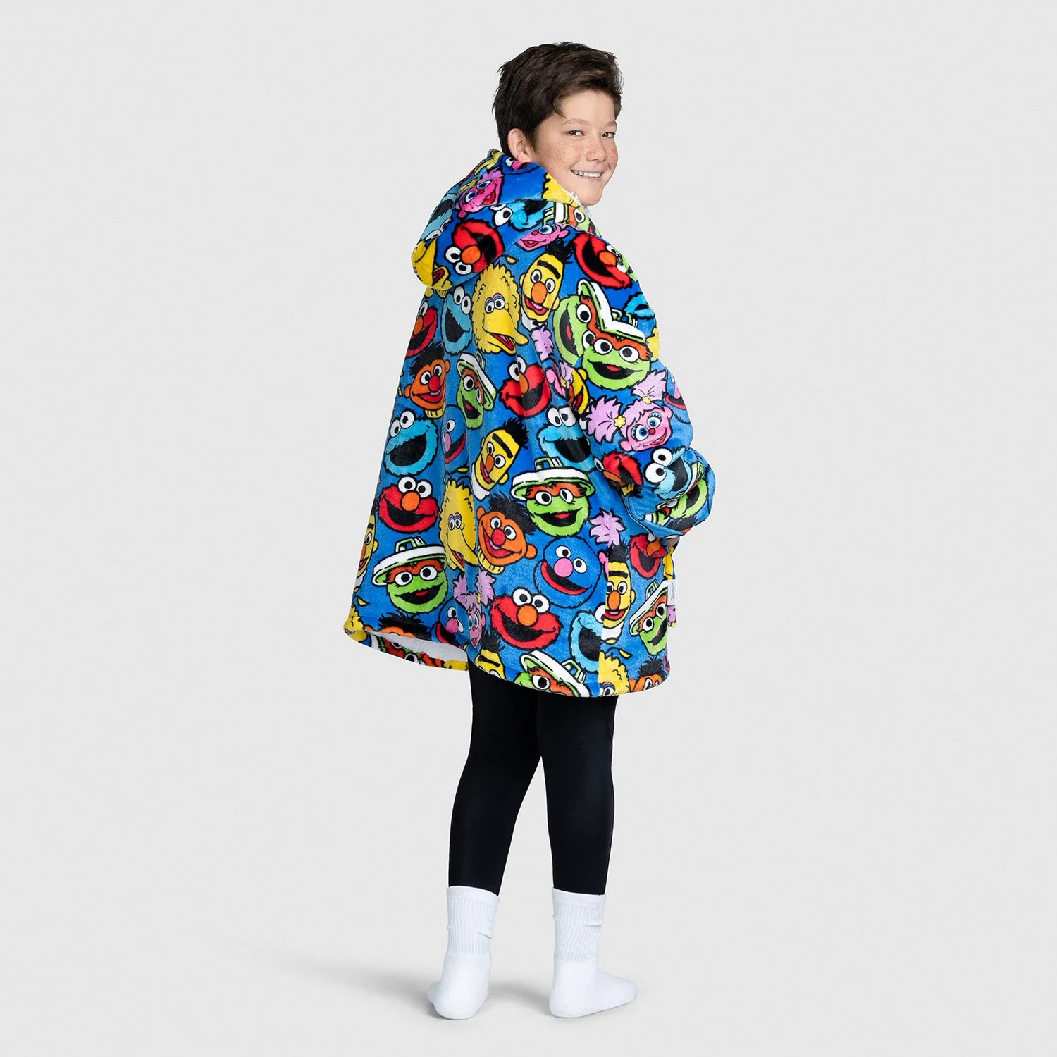 Sesame Street Characters - Image 5