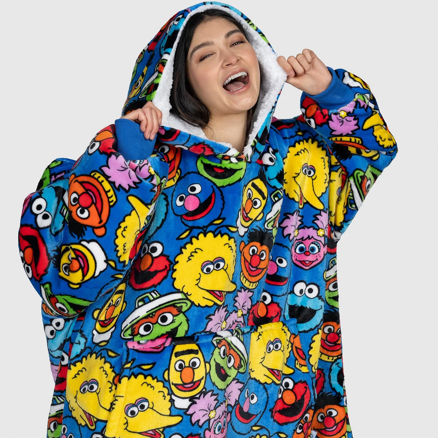 Sesame Street Characters - Image 2