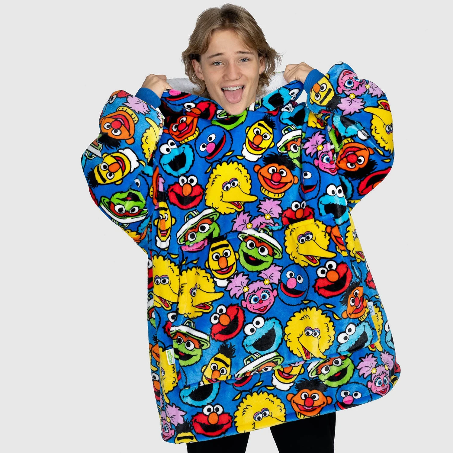 Sesame Street Characters - Image 8