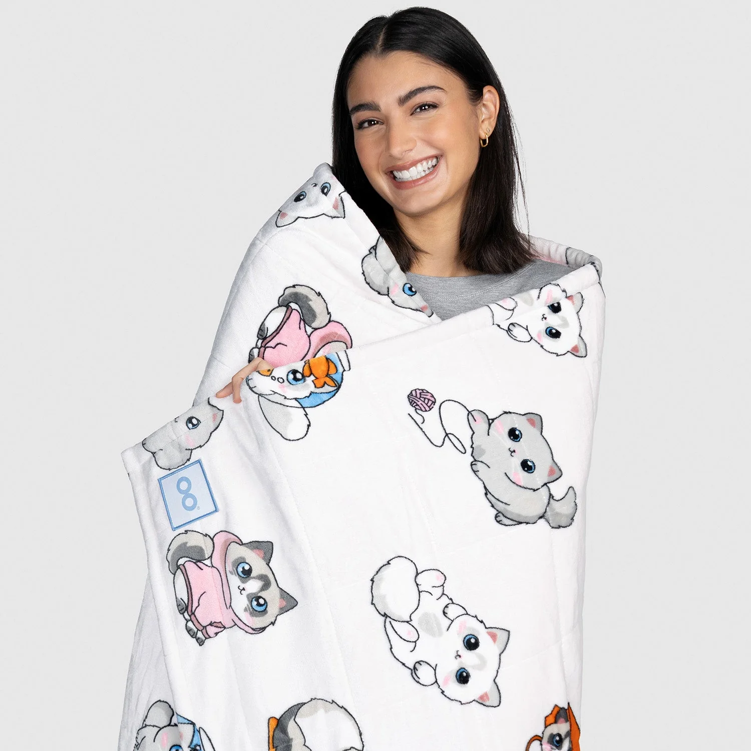 Gray Cat - Image 8
